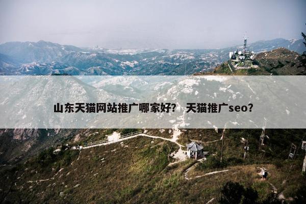 山东天猫网站推广哪家好？ 天猫推广seo？