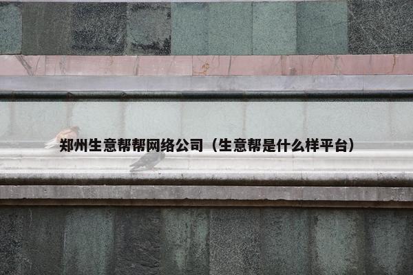 郑州生意帮帮网络公司（生意帮是什么样平台）