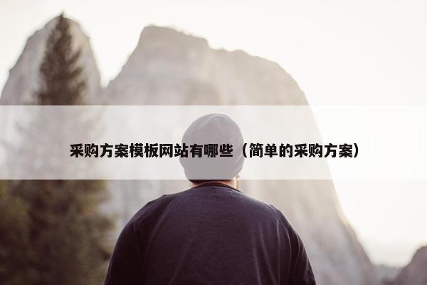 采购方案模板网站有哪些（简单的采购方案）