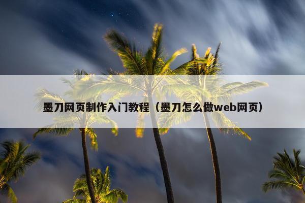 墨刀网页制作入门教程（墨刀怎么做web网页）