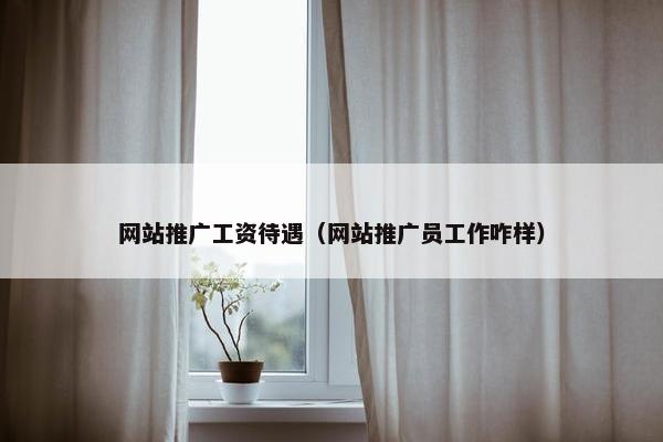 网站推广工资待遇（网站推广员工作咋样）