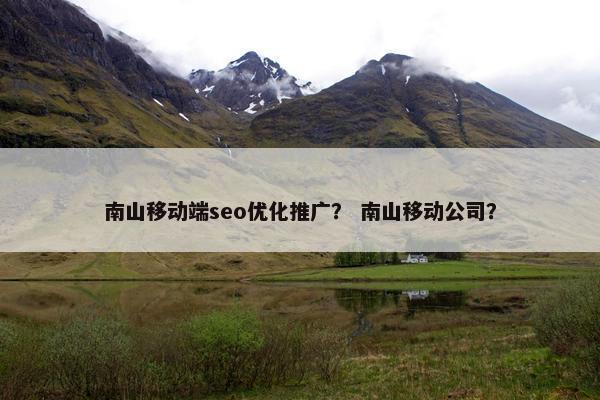 南山移动端seo优化推广？ 南山移动公司？
