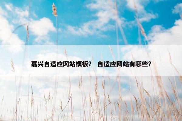 嘉兴自适应网站模板？ 自适应网站有哪些？