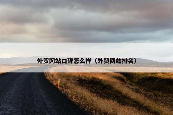 外贸网站口碑怎么样（外贸网站排名）