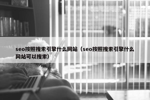 seo按照搜索引擎什么网站（seo按照搜索引擎什么网站可以搜索）