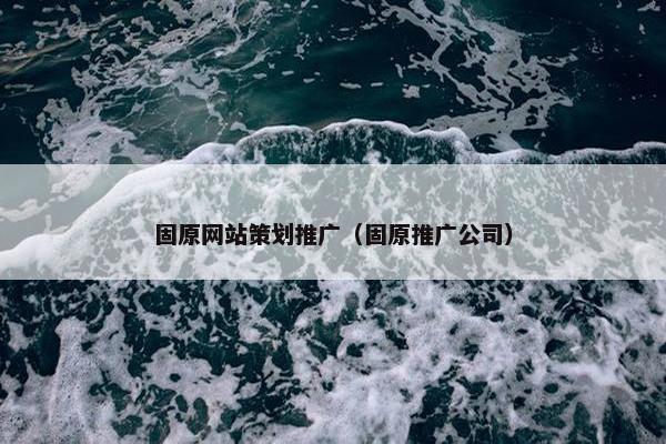 固原网站策划推广（固原推广公司）