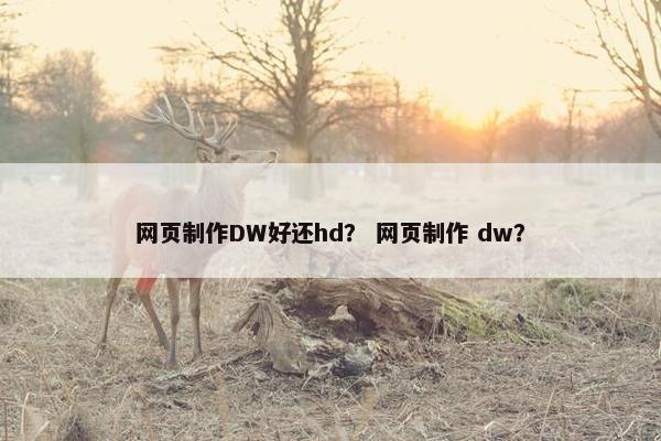 网页制作DW好还hd？ 网页制作 dw？